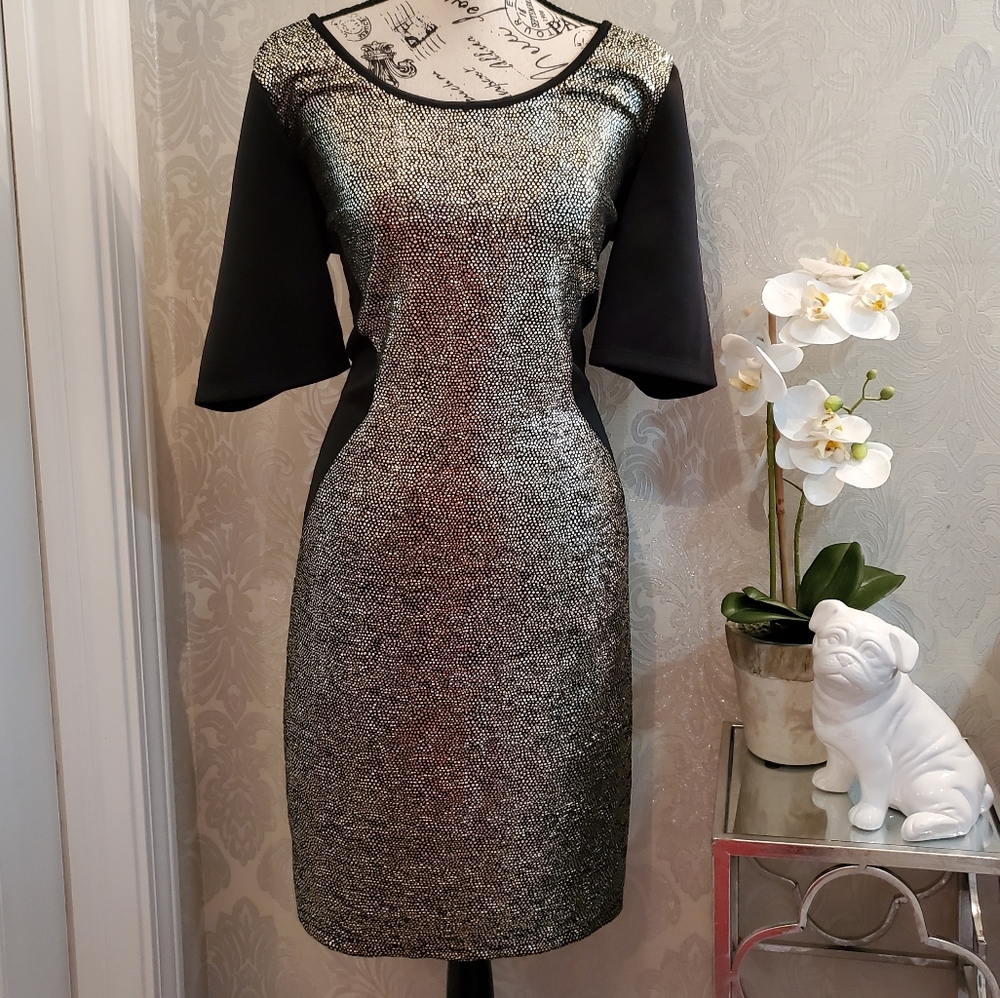 NWT Janette Plus Sexy Sheath Dress